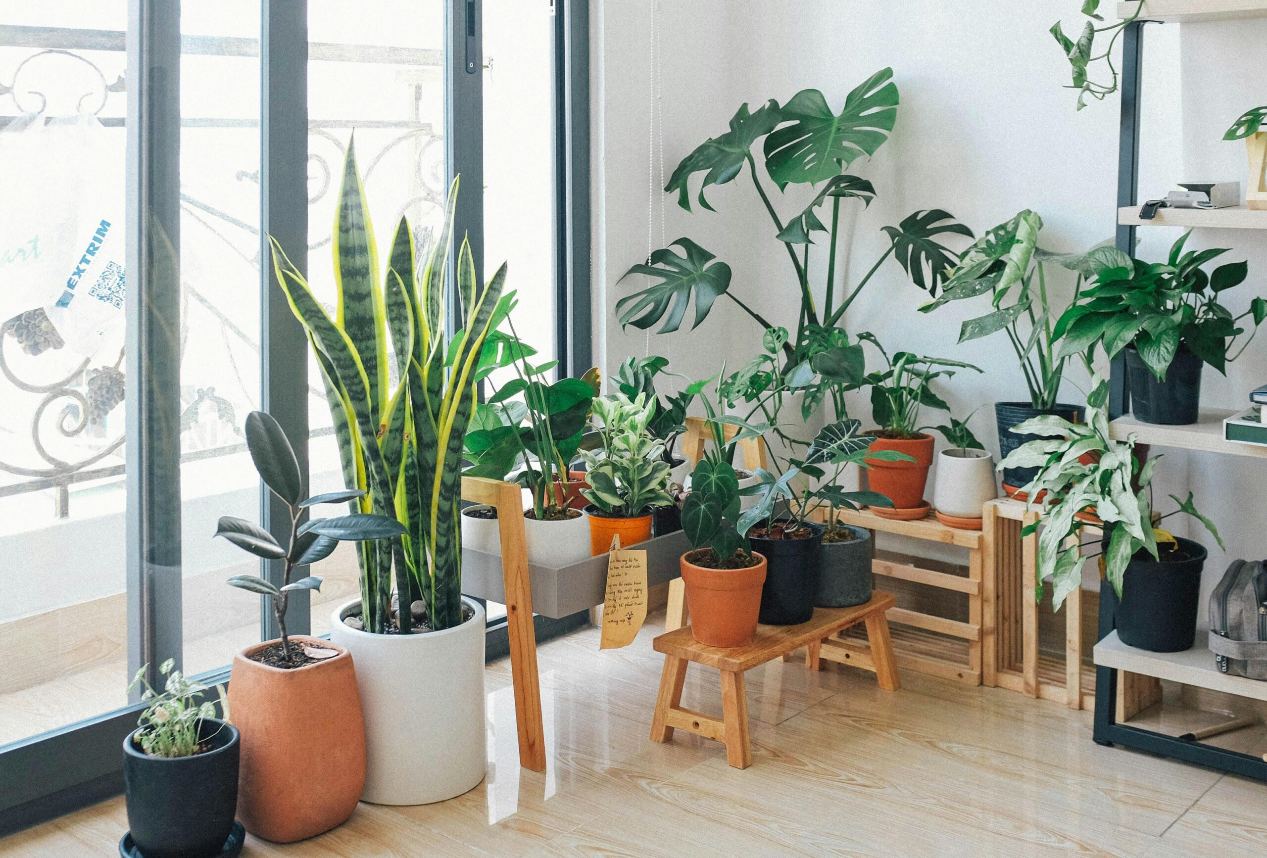 Indoor gardening