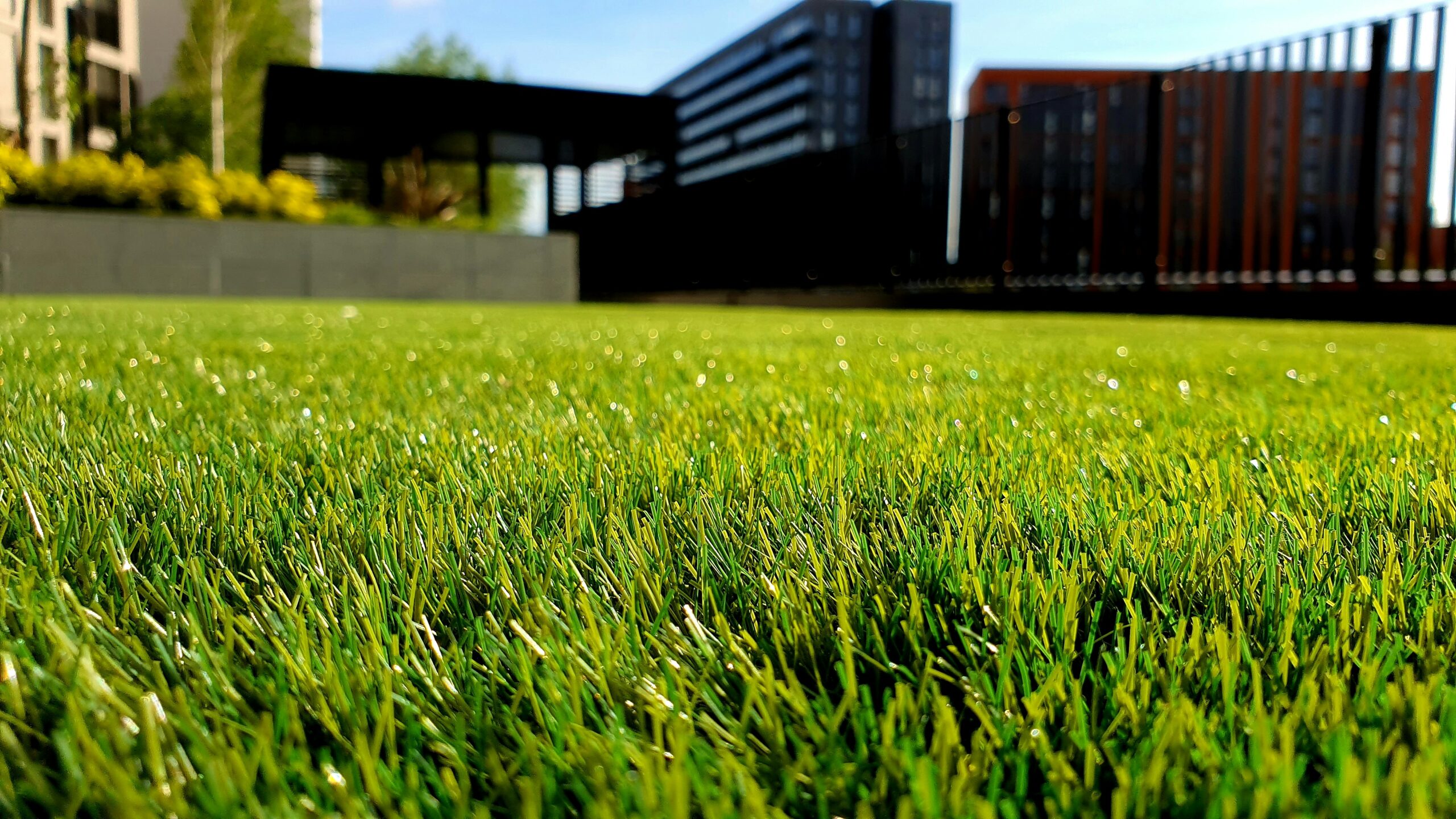 The Secret To A Beautiful Low Maintenance Yard