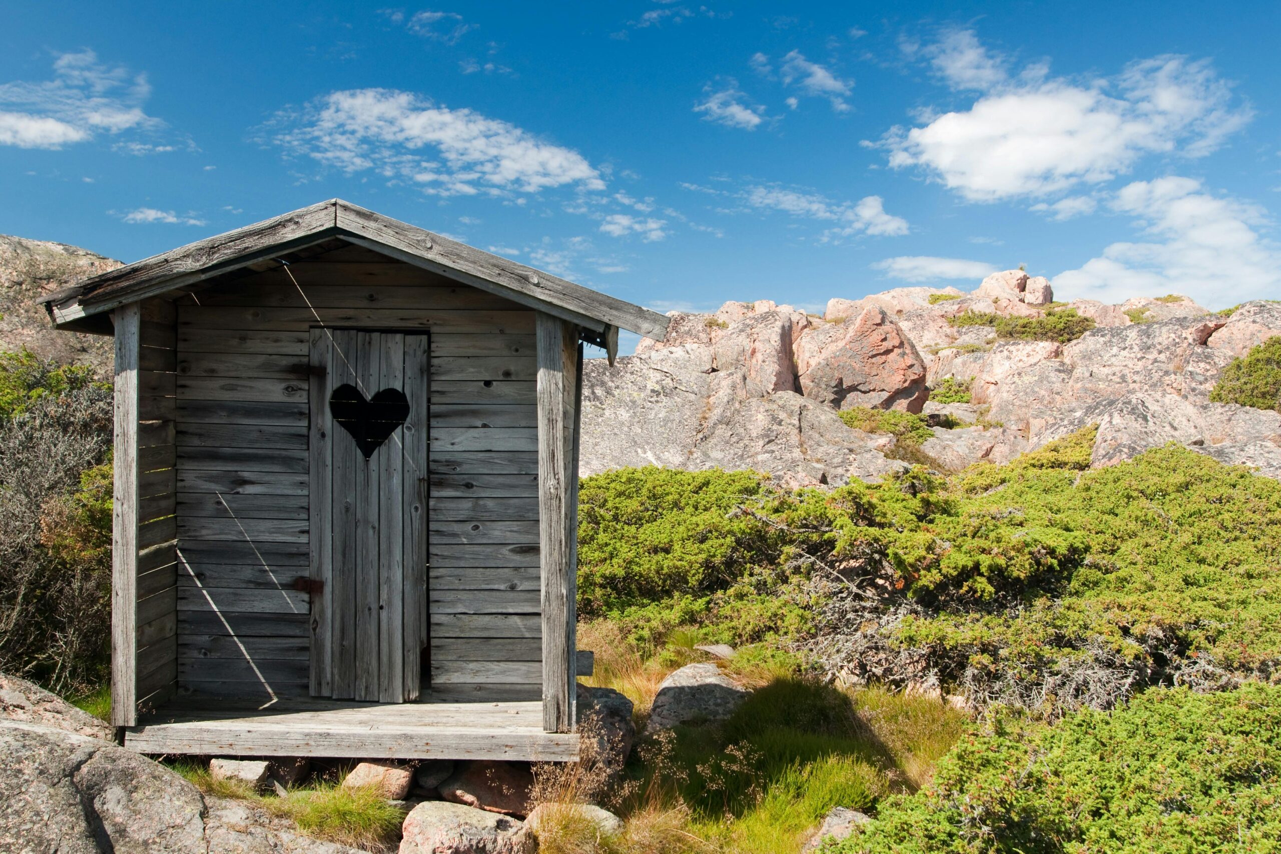 Is Your Shed A Fixer-Upper, Or Should You Buy A New One?