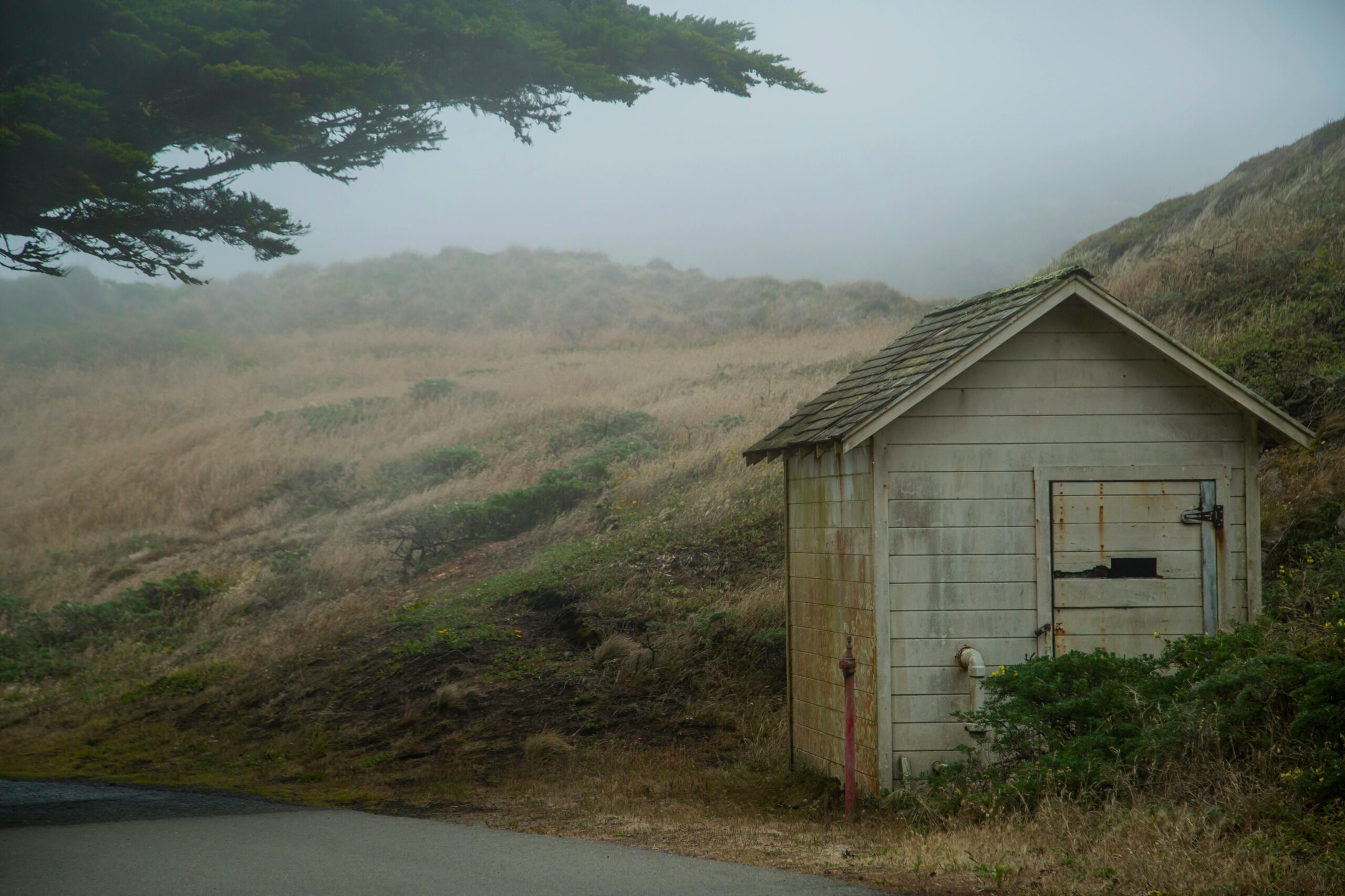 Shed