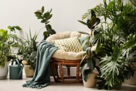 A cozy lounge area with a circle chair and a large cushion. There are healthy, green houseplants surrounding the chair.