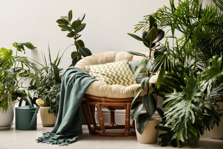 A cozy lounge area with a circle chair and a large cushion. There are healthy, green houseplants surrounding the chair.