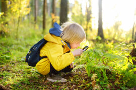 A young boy wears a yellow raincoat and a blue backpack. He squats down and holds a magnifying glass up to a green leaf.