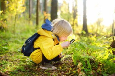 A young boy wears a yellow raincoat and a blue backpack. He squats down and holds a magnifying glass up to a green leaf.