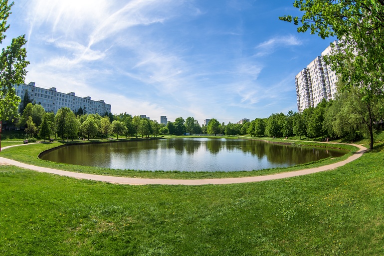 A circular pond sits in the middle of a grassy park surrounded by trees and tall residential buildings under a blue sky.