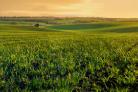 Rolling hills and farmland reach as far as the eye can see. The sun casts a low light over the hills as it rises.