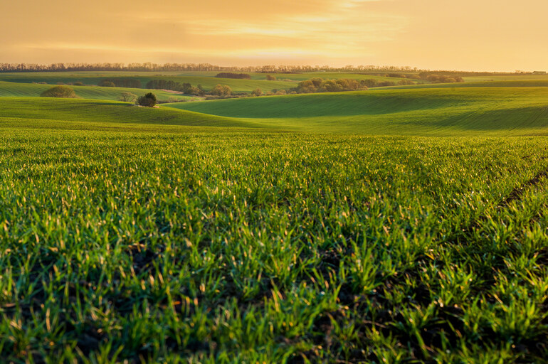Rolling hills and farmland reach as far as the eye can see. The sun casts a low light over the hills as it rises.