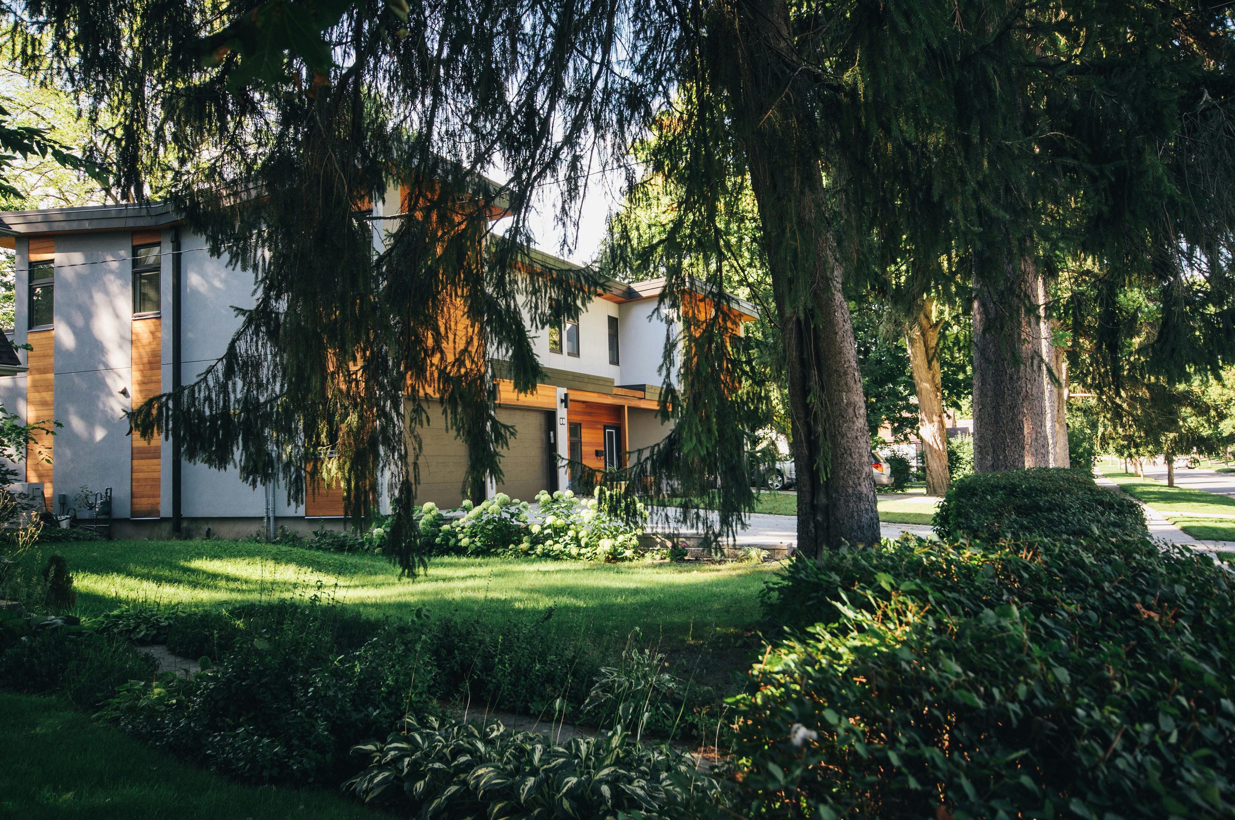 3 Steps To Improve Garden Visbility