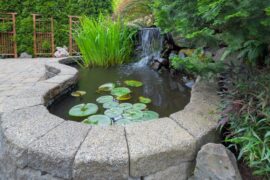 A small backyard pond surrounded by a brick frame. Lily pads float on the surface near a bunch of tall green reeds.