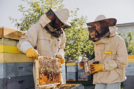 A woman and a man are outside in full beekeeper safety gear and are being swarmed by bees as she inspects the honeycomb.