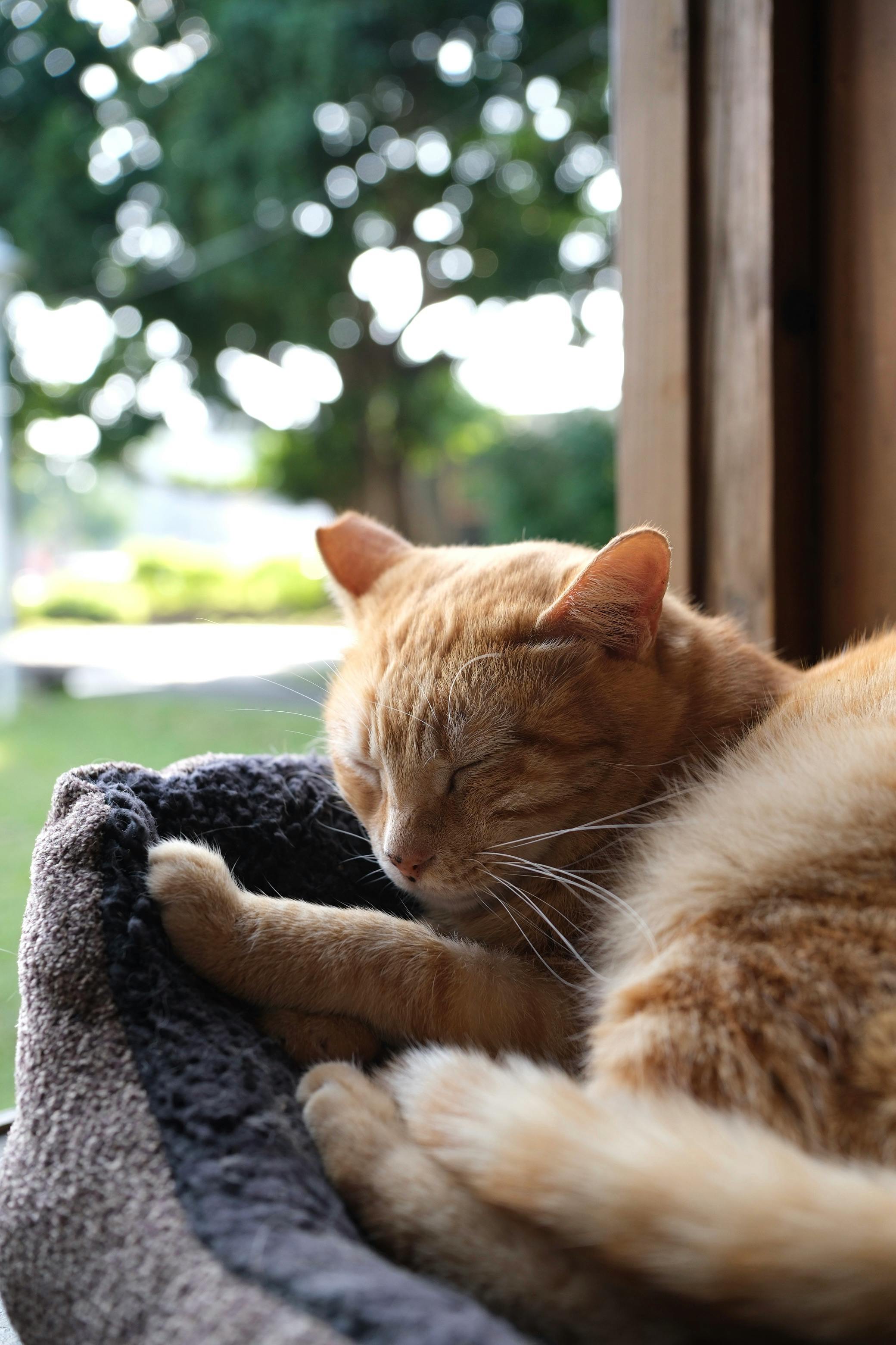 Five Tips for a Cosy Night In