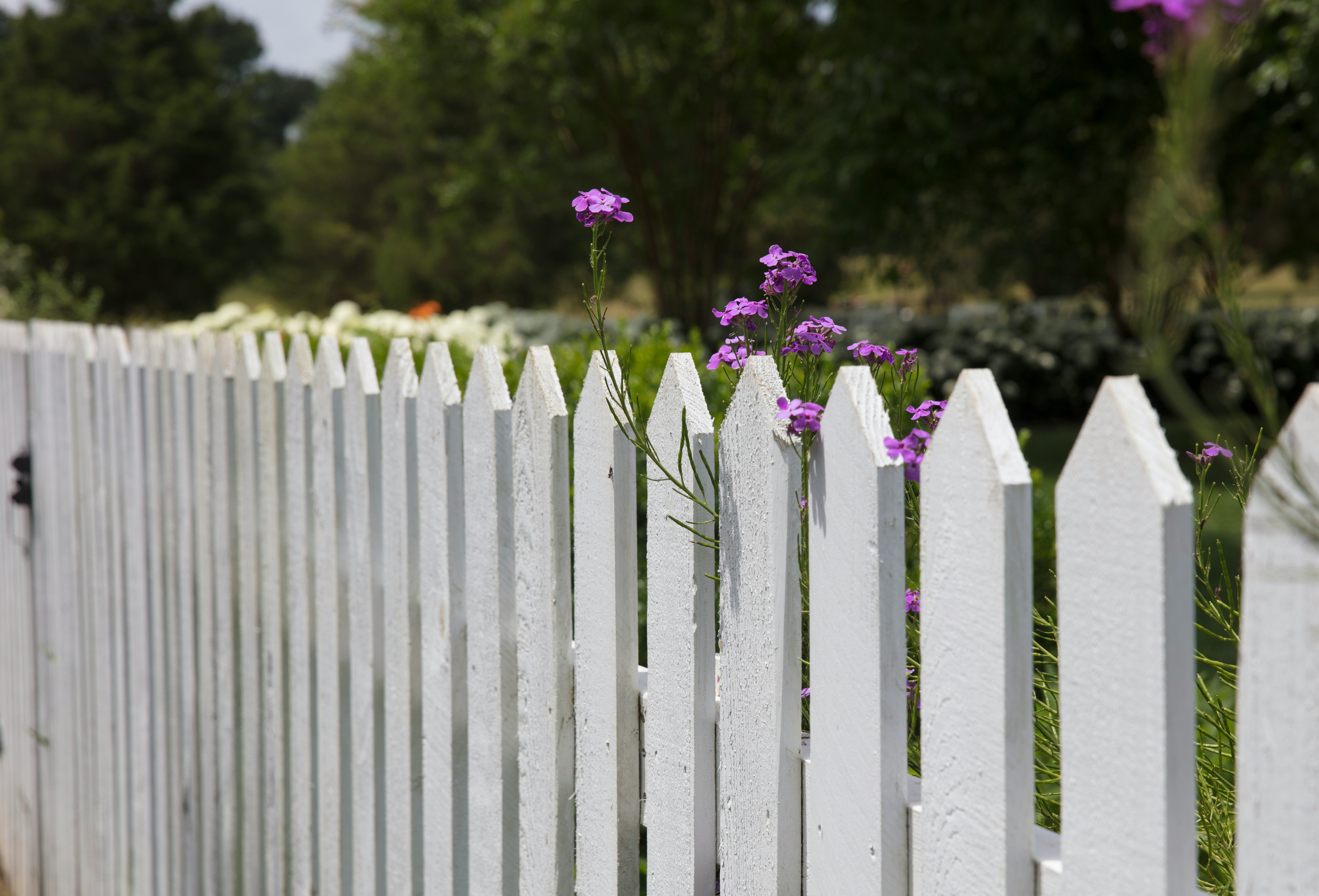 How to Make Your Garden a Safer Environment