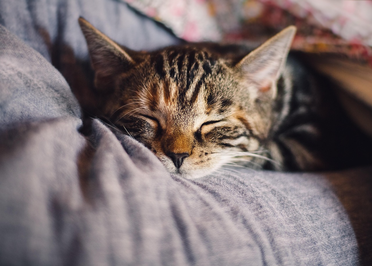 5 Ways to Create a More Comfortable Home
