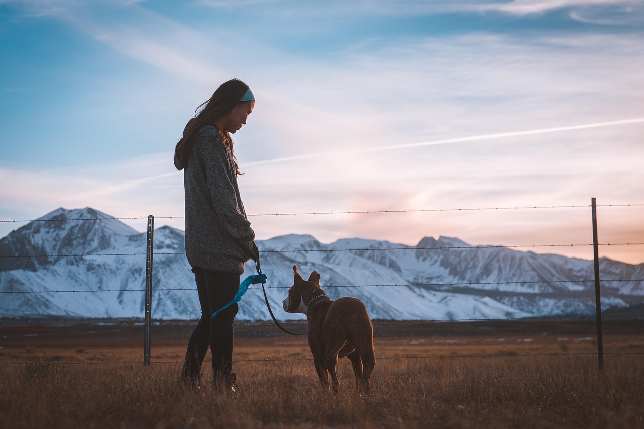 A dog is man’s best friend 
