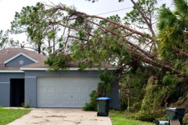 A large tree that has fallen on top of a blue sided house. The tree is covering over the roof and power lines.