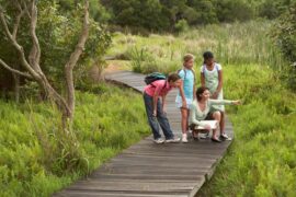 A small group of students on their field trip standing on a bridge in the park as their chaperone points to something.