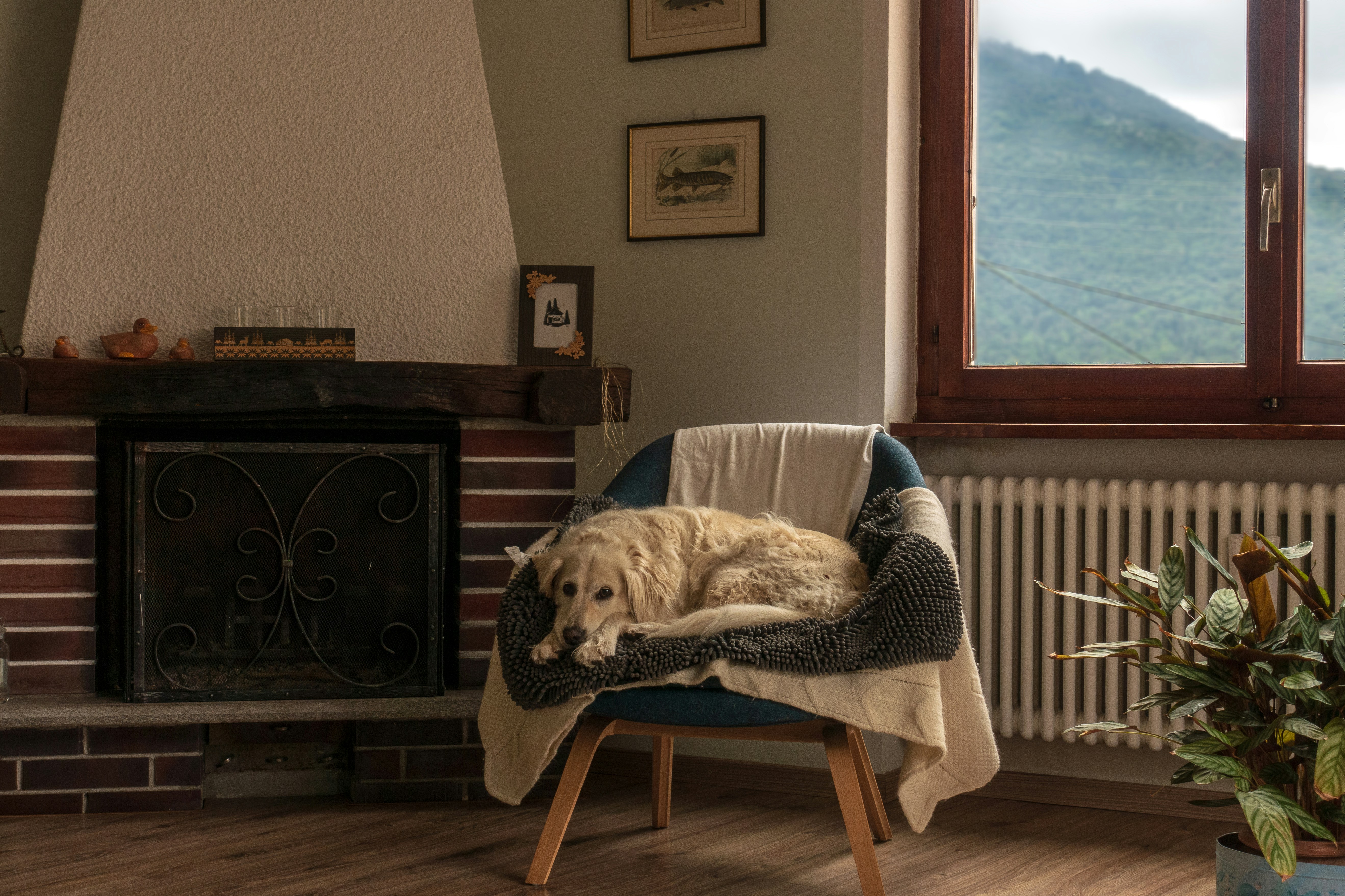 Preparing Your Home for Seasonal Changes