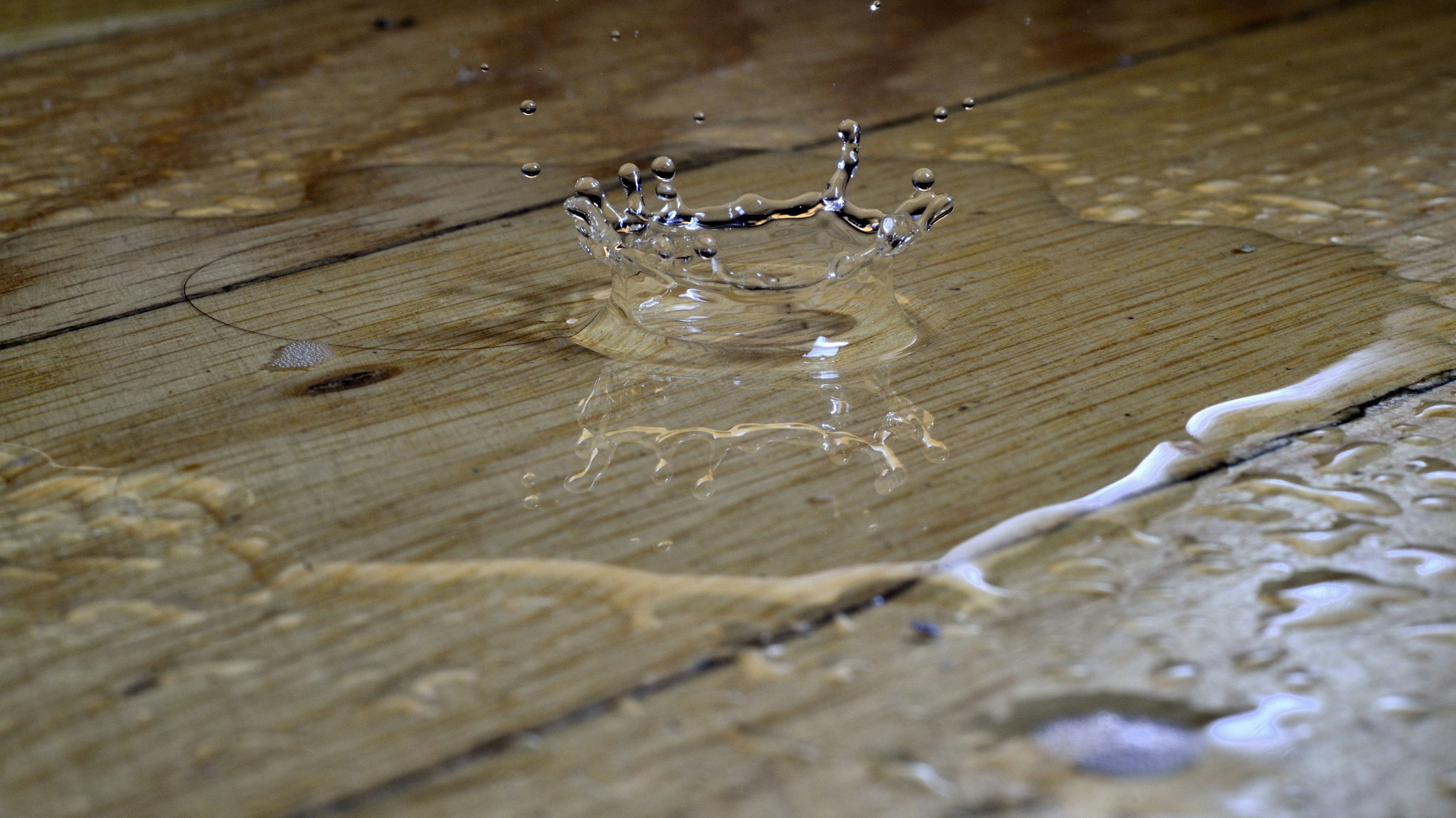 Your Home’s Health: Spotting Early Signs of Hidden Leaks