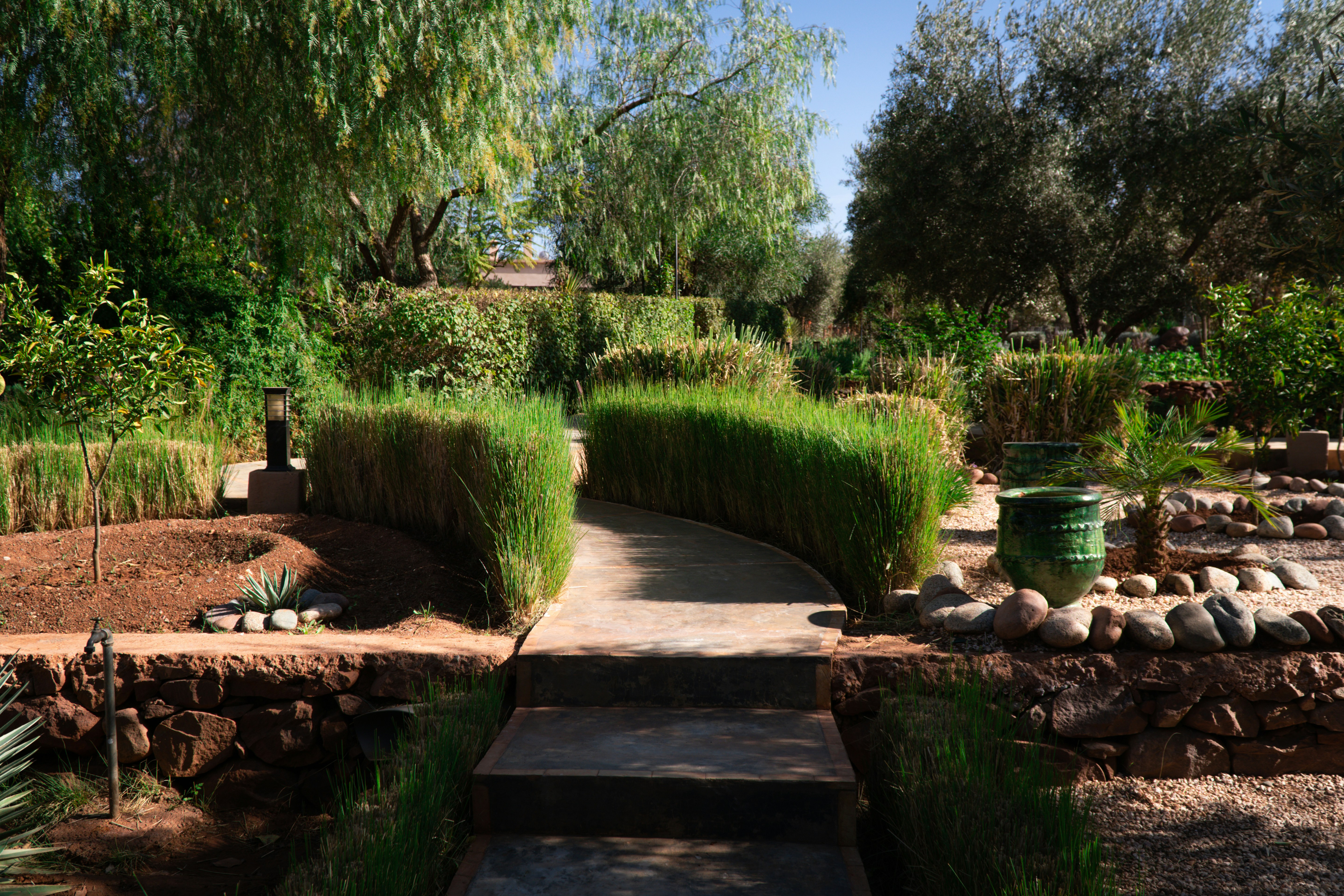 How to Design a Low-Water Garden That Stays Green