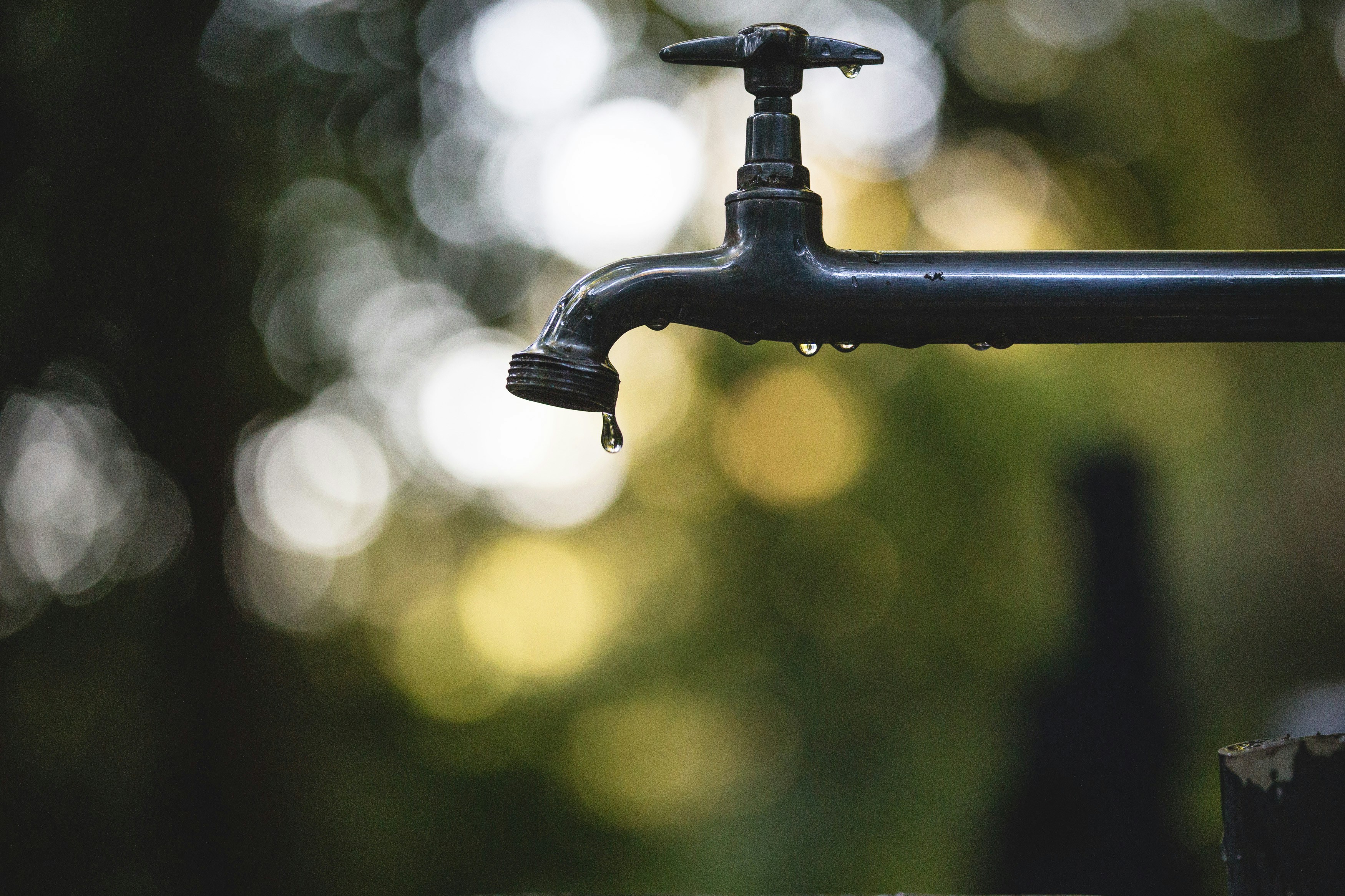 Surprising Ways to Conserve Water at Home